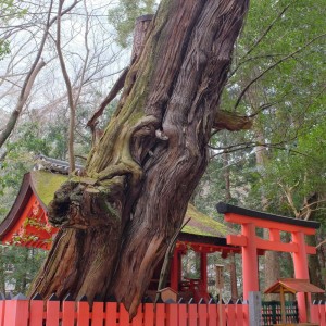 水谷神社