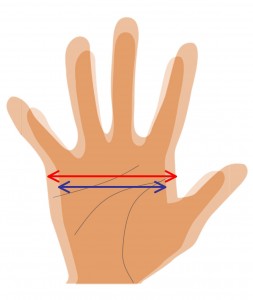 手の大きさと形は 本人が口にしない性格を現す 健康や体力にも深い関係が 不思議なチカラ