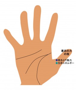 10指の手相（6）